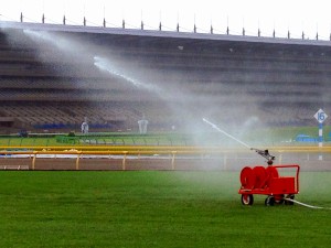 芝生に散水スプリンクラーを導入