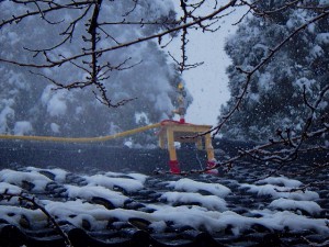 雪の対策にスプリンクラーを導入