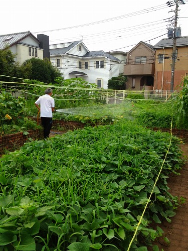 世田谷区立H小学校　畑散水手まき散水ノズルセット